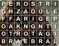 Play Zoo Wordsearch