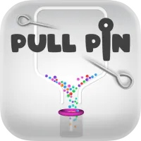 Pull Pin